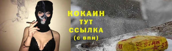 дживик Абаза
