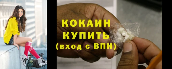 дживик Абаза