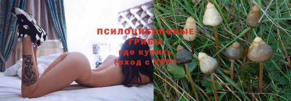дживик Абаза