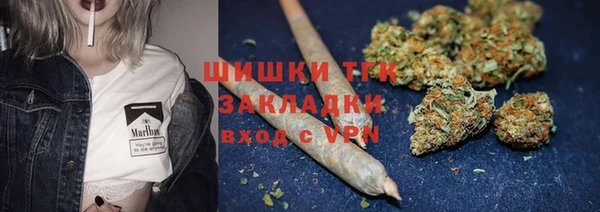 дживик Абаза