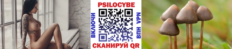 Псилоцибиновые грибы мицелий  купить наркотик  Брюховецкая 